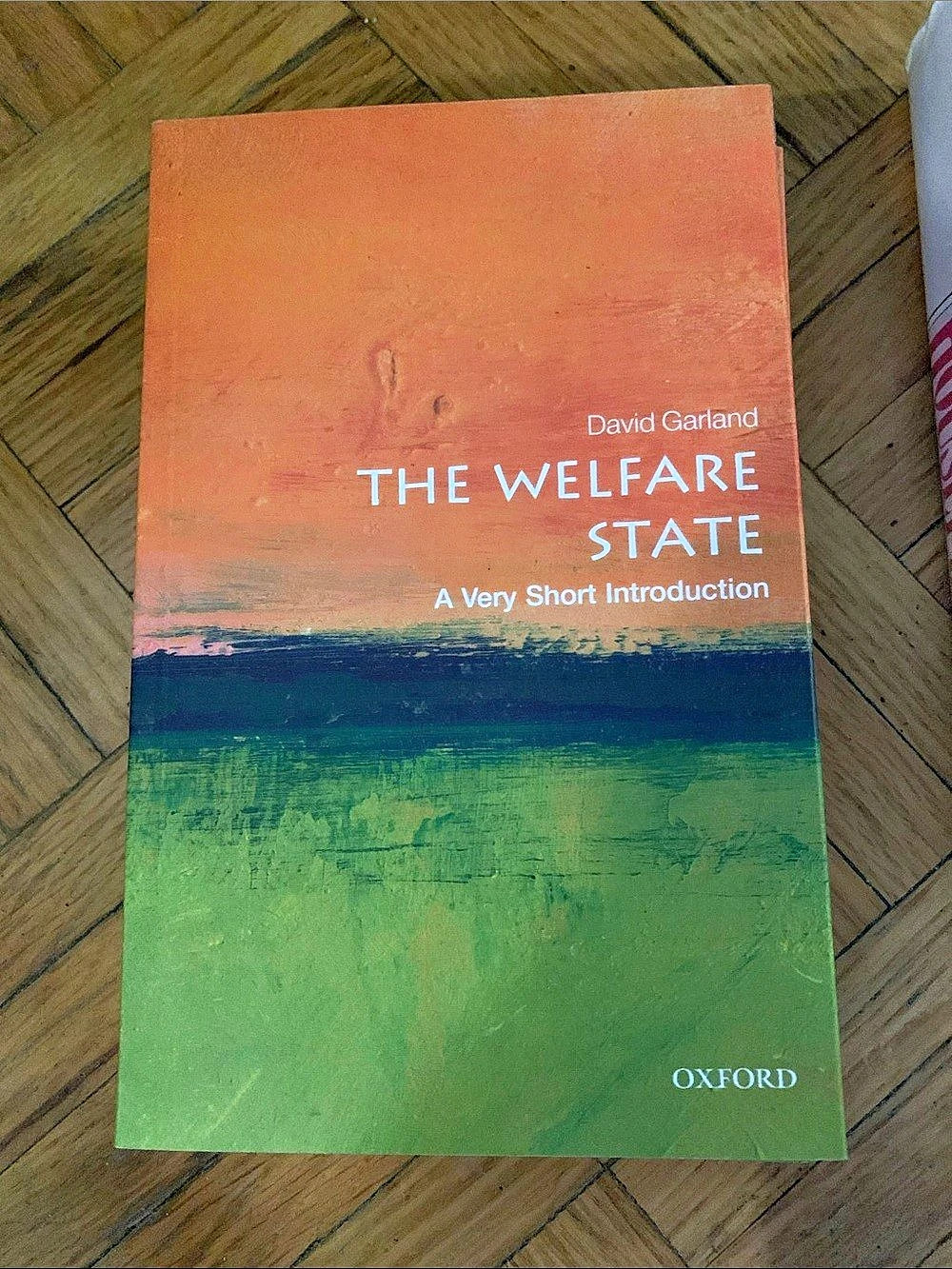 Oxford University Press The Welfare State: A Very Short Introduction Paperback
